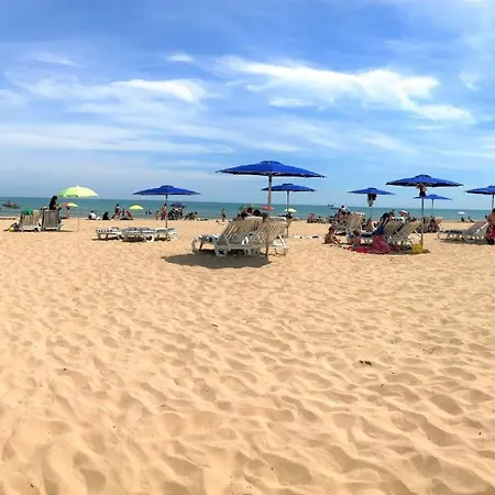 Ag Germanias Ciudad Gandia